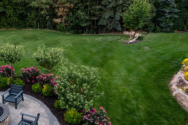 A large grass area in a residential backyard